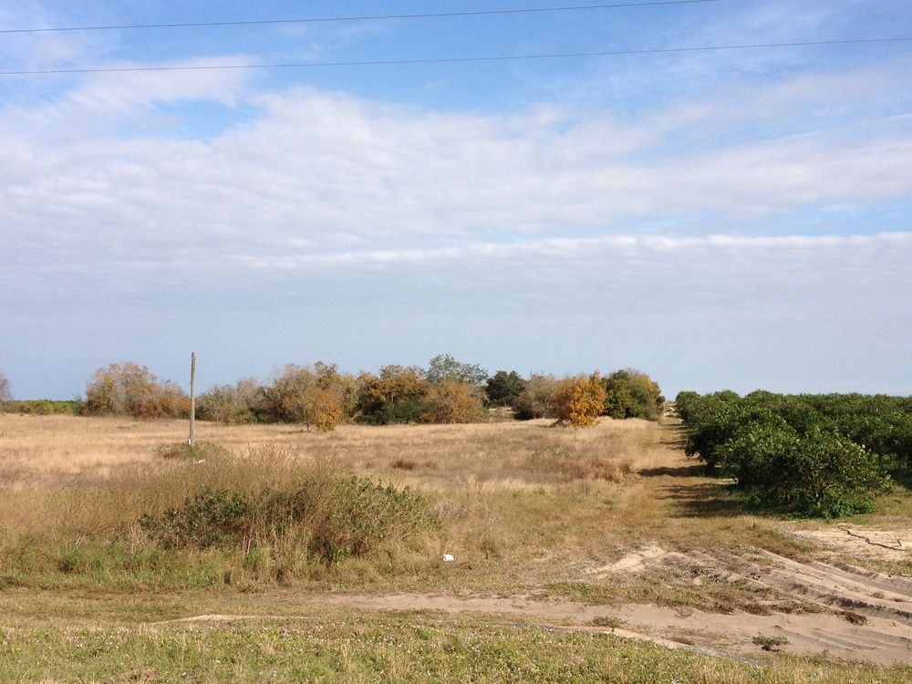 Vacant Land - Venus, Florida on US 27 south of Sebring: 1857 US 27 N, Venus, FL 33960